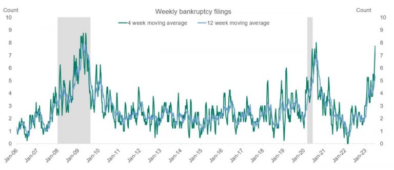 Rising Bankruptcies of Companies with High Liabilities